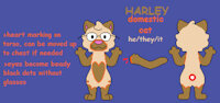 Harley (me) reference sheet by harleyfunnycat - cat, feline, male, reference sheet, character sheet, transgender, domestic cat, transgender male