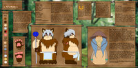 Metanuki Ander - Full ref sheet by AnderBloodEyes - male, healer, sheet, fantasy, reference, tanuki, alchemist, ander, weenstory