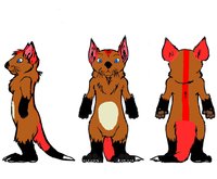 Kazy ref by KazaruKisaragi - male, ref sheet, otter/fox