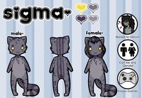 Sigma Ref by Theme by Sigma - female, male, cheetah, ref