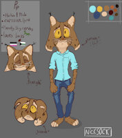 Pip reference sheet by Nicks0ck - cute, feline, male, reference sheet, cartoon, character sheet, guy, anthro, digital, lynx, furry, mammal, felid, sfw, bipedal, asexual, felidae, eurasian lynx, krita, demiromantic