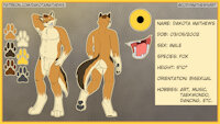 Dakota Refsheet 2022 by codyf0xx - fox, male, ref, refsheet, codymathews, dakota mathews