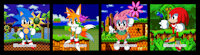Sonic Flowers by kamiraexe - sonic the hedgehog, amy rose, knuckles the echidna, tails miles prower