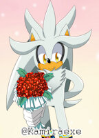 Silver and Roses by kamiraexe - sonic the hedgehog, silver the hedgehog, sonicthehedgehog, silverthehedgehog