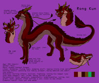 Rong Kun by Killerwolf1020 - dragon, male, character sheet, eastern, whiskers, rong, xieaon