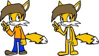 Rob the Fox aka my SANIC fancharacter by Rob3k - fox, male, sonic fan character