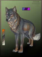 Ref by Isonar - wolf, canine, feral, reference