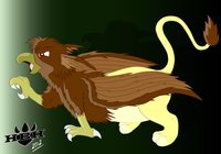 New Site Profiles: Gryphon by HatchlingByHeart - male, gryphon