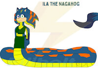 Ila the Nagahog by Filibolt - female, hybrid, heterochromia, hedgehog, snake, ref sheet, long tail, mobian, sonic oc, nagahog