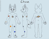 Chase Marin wolf fursuit by chase54 - wolf, male, marine, planets