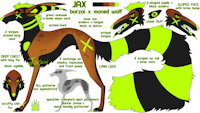 Jax ref by Jaxzoi - male, hybrid, reference sheet, feral, canid, maned wolf, reference, borzoi