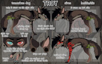 troy {ref} by Jaxzoi - dog, male, canine, feral, canid, ref sheet, reference, siren, tamaskan, he/him