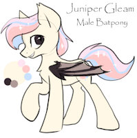 Juniper Gleam Reference by EnderFloofs - female, reference sheet, mare, pony, reference, mlp, mlp:fim, batpony