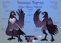 Tasmyn Byrne by EnderFloofs - female, hybrid, reference sheet, bird, raven, anthro, talons, avian, crow, wings, feathers, heart, reference, corvid, fluff, hybrid species, chest fluff, color palette, solo female