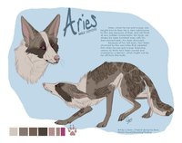 Commission - Aries Reference Sheet by LostWolfSpirit - male, reference sheet, canine, coyote, feral, ref, canid, reference, quad, quadruped, aries, arachnid, furry paws, lostwolfspirit, minnowfish, instantcoyote