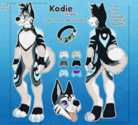 Kodie's Reference {2024} by LittleSugarBell - husky, male, adorable, reference