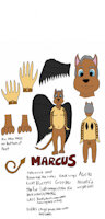 Marcus reference sheet by Bitwima - boy, male, hybrid, reference sheet, canine, character sheet, avian, art, artist, design, character, drawing, ref sheet, reference, reptilian, refsheet, artwork, original character, referencesheet, hybrid species, character design, originalcharacter, artwork (digital), original art, drawingdigital, drawingart