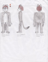 Aaron's Character Sheets by AaronCEcton - fox, male, gray, character, sheets, american, south