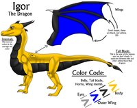 Igor ref sheet (Clean) by Dragon122 - dragon, male, reference sheet