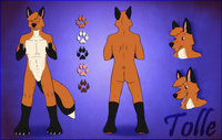 Tolle Reference Sheet - Commission by Cevelt - red, fox, male, commission, anthro, digital, furry, sheet, drawing, reference