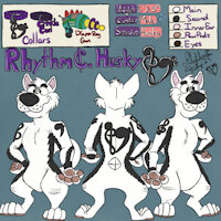 RhythmC.Husky [2024] by RhythmCHusky94 - dog, husky, male, reference sheet, canine, fursona