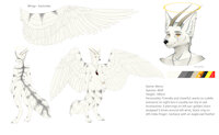 RefSheet • by Aku by MonoNatriumGlutamat - wolf, male, piercing, ring, jewelry, tail, feather, anthro, stripes, necklace, wings, horns, bracelet, digital media, yellow eyes, refsheet, halo, white fur, ear ring, ear piercing, feathered wings, feather jewelry, feather necklace