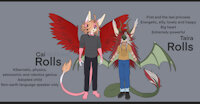 Cai and Taira by Macader - dragon, cat, female, male, siblings, wings, male/female, charactersheet, character ref, sonic oc