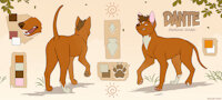Dante by AdelarElric - dog, male, reference sheet, canine, feral, pharaoh hound