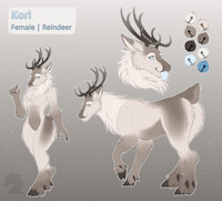 Kori Ref by Zenrii - female, anthro, feral, deer, furry, ref, ref sheet, reindeer, zenrii, zenrii69