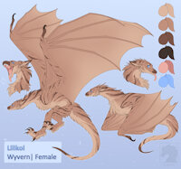 Lilikoi Ref by Zenrii - female, feral, wyvern, furry, ref, ref sheet, furred wyvern, fluffy wyvern, bat wyvern