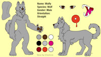 Wolfy Reference Sheet (SFW) by BraixyFenFen03 - wolf, reference sheet, anthro, feral, furry, fursona, ref sheet, anthropomorphic, alpha, digital art, wolfy, original character, sfw, digital artwork, wolfyfufflywolf
