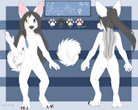 Hollyann ref by esanhusky - wolf, hybrid, klee kai, f, klee kai/wolf, sfw nudity, justaref