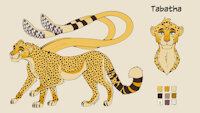 Feral Tabatha Reference Sheet (safe) by angelshot444 - female, tentacles, feral, cheetah, displacer beast, tabaxi