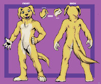 Goldey Suit by Dbruin - male, fursuit, golden retriever