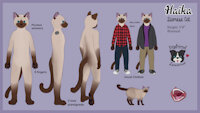 Ref Sheet - Haika by Haika98 - dog, cat, feline, border collie, clothed, canine, clothes, siamese, shirt, canid, clothing, flannel, siamese cat, plaid, felid, canidae, felidae, flannel shirt