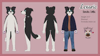 Ref Sheet - Lexario by Haika98 - dog, cat, feline, male, border collie, clothed, jacket, pants, canine, clothes, siamese, shirt, canid, hoodie, clothing, siamese cat, felid, canidae, felidae