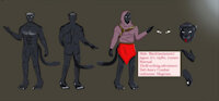 Arkana The Black Jaguar by Longnight - male, jaguar, fursona, reference