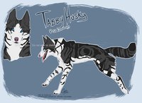 Gift - Tabbyhusky Reference by LostWolfSpirit - dog, female, husky, reference sheet, canine, feral, model, character, ref, canid, reference, quad, quadruped, siberian, siberian husky, arachnid, lostwolfspirit, minnowfish, instantcoyote, tabbyhusky