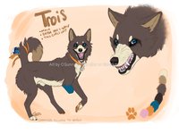 Commission - Trois Reference by LostWolfSpirit - dog, wolf, male, mix, reference sheet, canine, paws, feral, model, furry, character, ref, canid, mutt, reference, quad, quadruped, wolfdog, mixed breed, arachnid, breed, mixed, trois, furry paws, fp, wolf dog, lostwolfspirit, minnowfish, wolfeh, instantcoyote