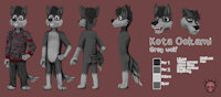 Kota Ref Sheet (after forever) by KotaPup - boy, wolf, male, grey wolf