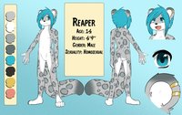 Kritanta Reaper ref sheet, Cub Version SFW by DjijeyHellfire - cub, snow leopard, male, reference sheet, reaper, saucy