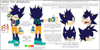 NEW OC-Krieg the hedgehog by DV2FOX - fox, male, the, hedgehog, urban, character, style, new, oc, da, graffiti, fan, fancharacter, deviantart, fa, furaffinity, krieg, dv, dv2fox, dv2