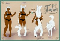 Tala by Shinigamiinochi - female, werewolf, character sheet, transformation