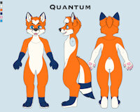 Quantum's ref sheet by Quantumfoxxo - male, reference sheet, red fox, ringtail, blue eyes, blue fur, orange fur