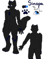 Sinopa Ref Sheet by WhiteFox42 - male, reference sheet, arctic fox, blue eyes, black fur, sinopa, wicasa, sinopa wicasa