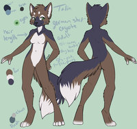 Canine Design by Shinigamiinochi - female, canine, character sheet