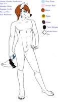 Adult Winter Ref by Luniar - male, arctic-fennec-fox