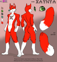 Xaynya ref by LegecyWolf - red, fox, male, reference sheet, anthro, white, scar, ref, canid, ref sheet, reference, refsheet, zhivagod, male/solo, legecywolf, xaynya, x-scar, father of mandy