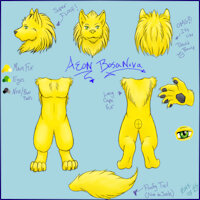 Aeon Bosanova Ref Sheet by Aeonbosanova - wolf, male, reference sheet, aeon, bosanova, kimerequiem