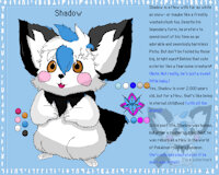 Shadow's Character Sheet 2024 by ShadowLittleChu - male, reference sheet, pokemon, character sheet, mew, pichu